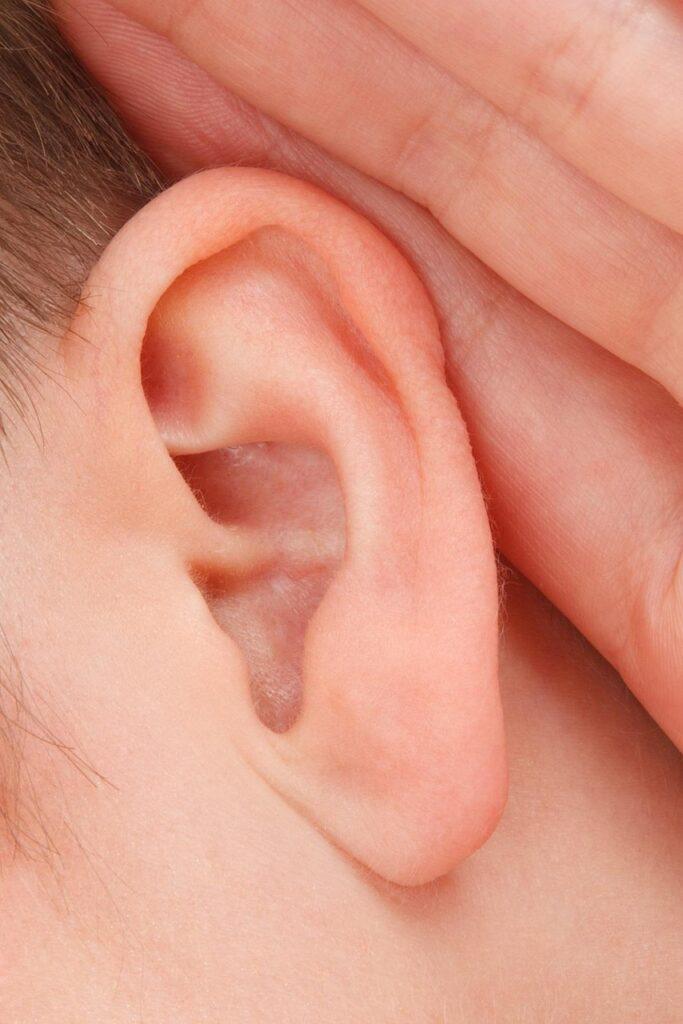 close-up, communication, deaf, ear, female, girl, gossip, hand, head, hear, human, listen, people, sense, silence, sound, orange community, orange communication, orange human, orange closed, deaf, ear, ear, ear, ear, ear, hear, listen